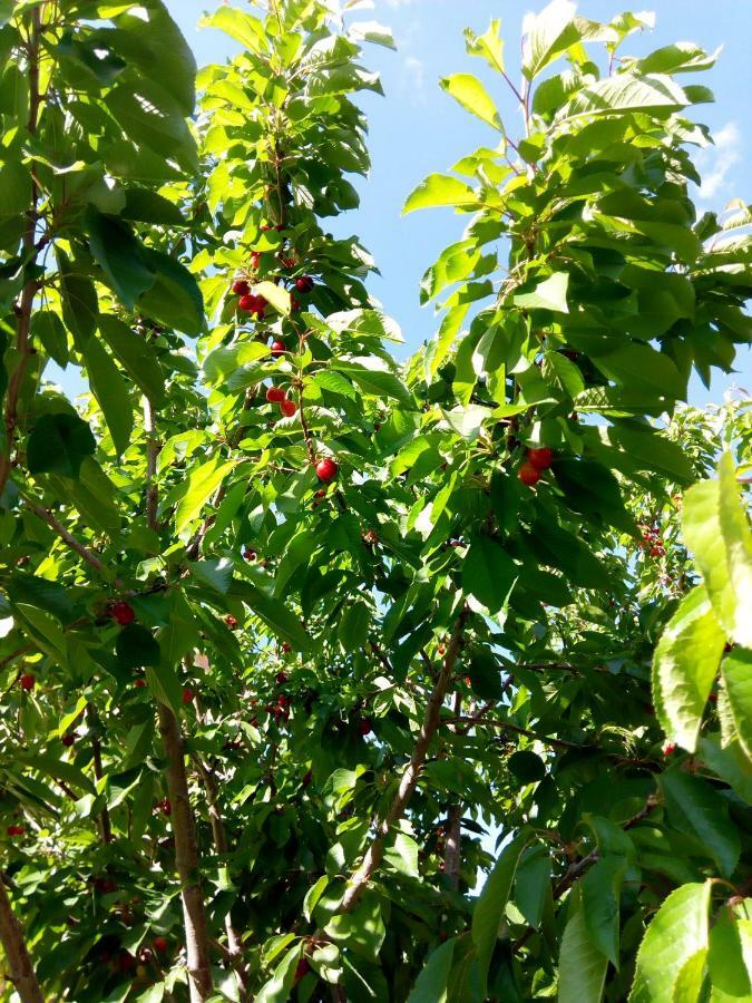 Complexe Collier D' Ambre Ξενοδοχείο Imilchil Εξωτερικό φωτογραφία